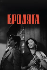  Бродяга 