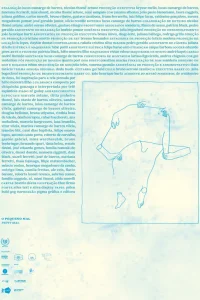  Малый припадок 